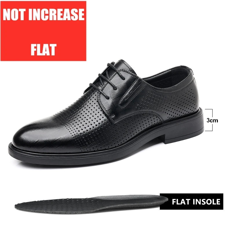 Windsor Elevation Oxfords