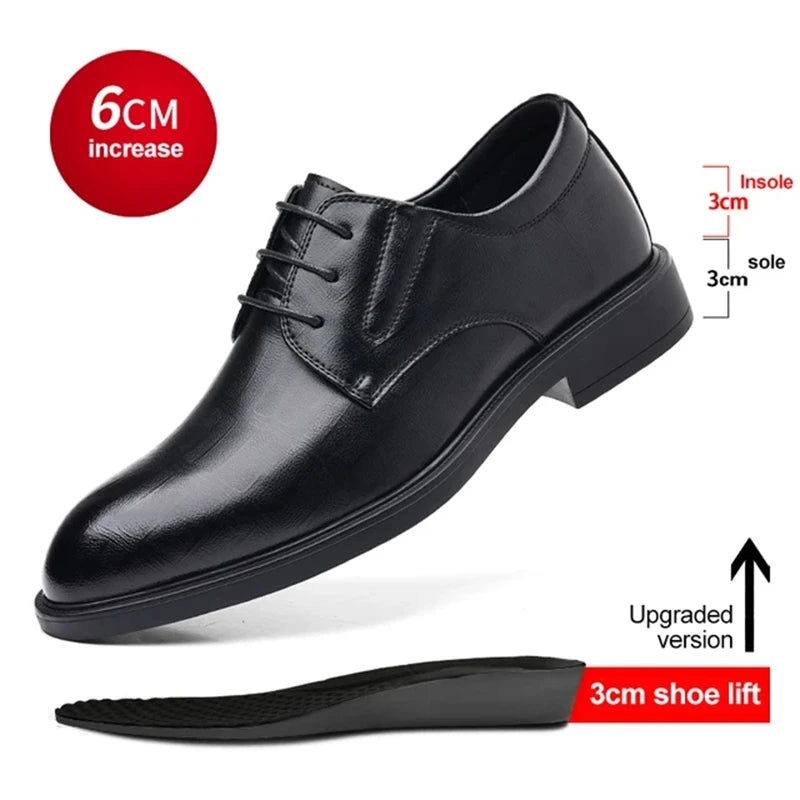 Windsor Elevation Oxfords