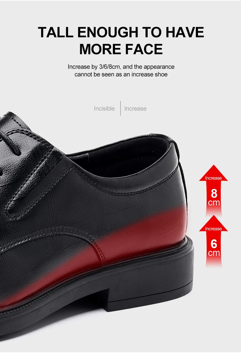 Windsor Elevation Oxfords