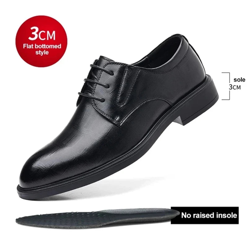 Windsor Elevation Oxfords