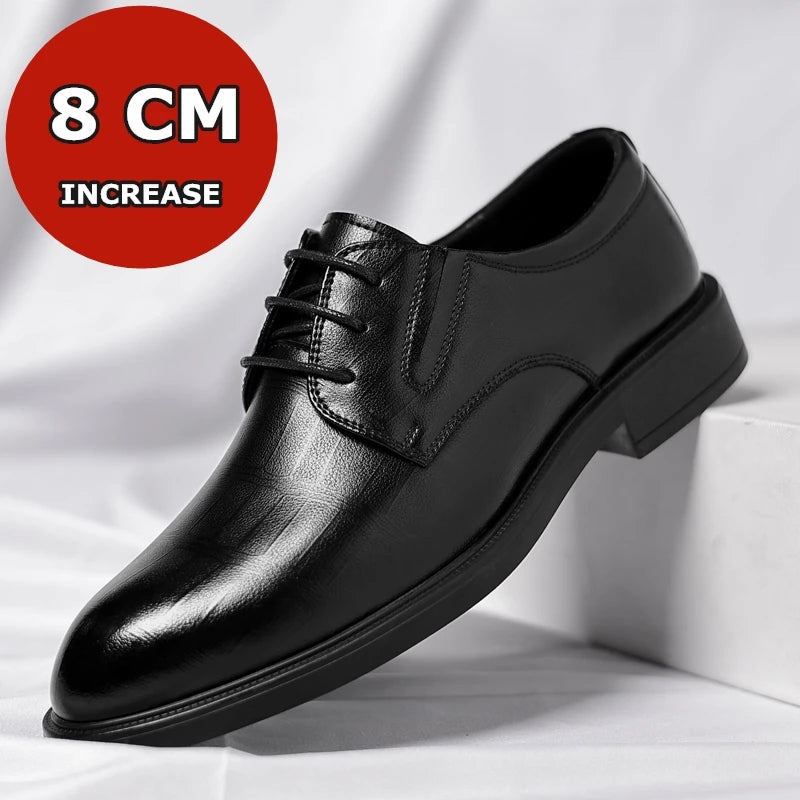 Windsor Elevation Oxfords
